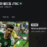 해외에서 월드컵보기