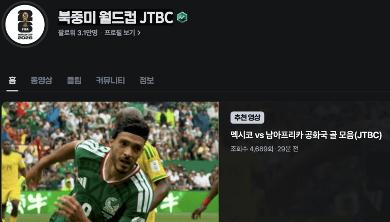 해외에서 월드컵보기