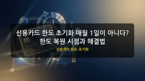 신용카드 한도 초기화 대표 이미지