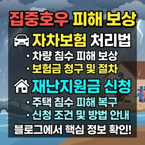 집중호우 피해, 집중호우, 재난지원금 신청, 집중호우 기준, 침수 피해 보상, 집중호우 피해, 집중호우, 재난지원금 신청, 집중호우 기준, 침수 피해 보상 지원금, 집중호우 피해, 집중호우, 재난지원금 신청, 집중호우 기준, 침수 피해 보상 후기