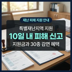 특별재난지역 재난지원금 및 세제 감면 혜택 핵심 신청 요령 인포그래픽