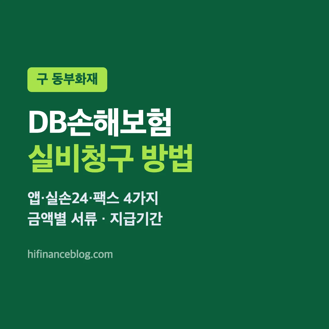 DB손해보험 실비청구 방법, 앱 실손24 팩스, 금액별 서류와 지급기간